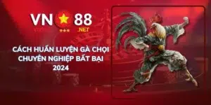 Cách huấn luyện gà chọi chuyên nghiệp bất bại 2024