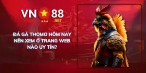 Đá gà thomo hôm nay nên xem ở trang web nào uy tín