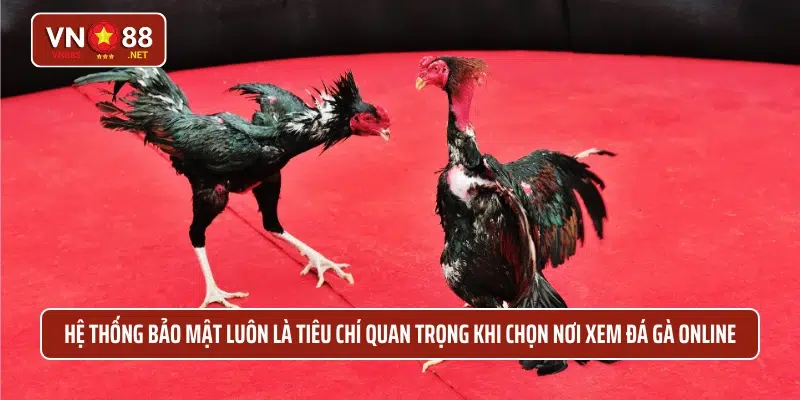 Hệ thống bảo mật luôn là tiêu chí quan trọng khi chọn nơi xem đá gà Online