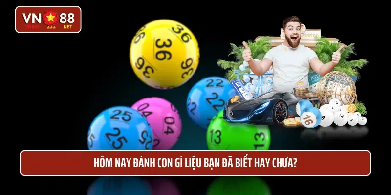 Hôm nay đánh con gì liệu bạn đã biết hay chưa?