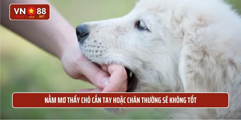 Nằm mơ thấy chó cắn tay hoặc chân thường sẽ không tốt