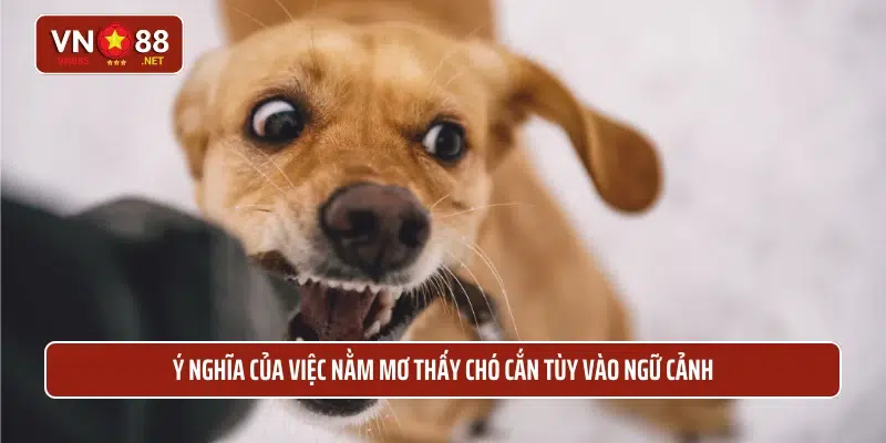 Ý nghĩa của việc nằm mơ thấy chó cắn tùy vào ngữ cảnh